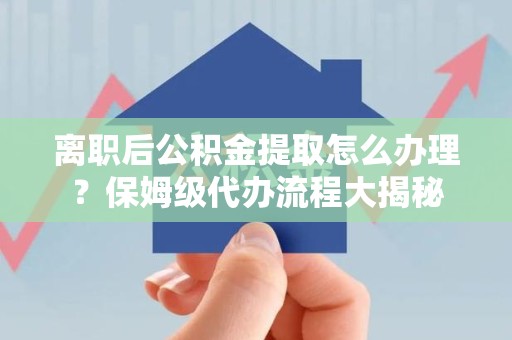 延平离职后公积金提取怎么办理?保姆级代办流程大揭秘 延平离职后公积金提取怎么办理?保姆级代办流程大揭秘