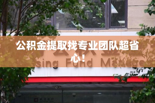 延平公积金提取找专业团队超省心！