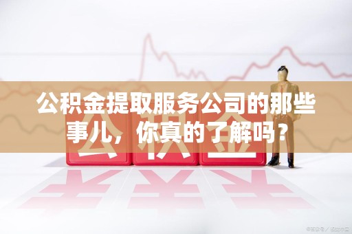 延平公积金提取服务公司的那些事儿，你真的了解吗？