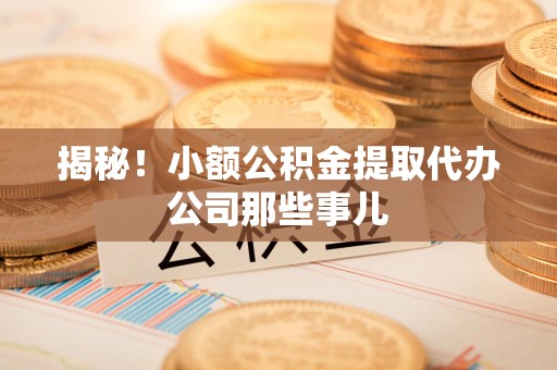 延平揭秘！小额公积金提取代办公司那些事儿