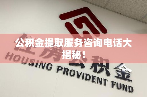 延平公积金提取服务咨询电话大揭秘！